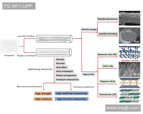 成都网球队实力分析与未来发展展望探讨 成都网球队实力分析与未来发展展望探讨