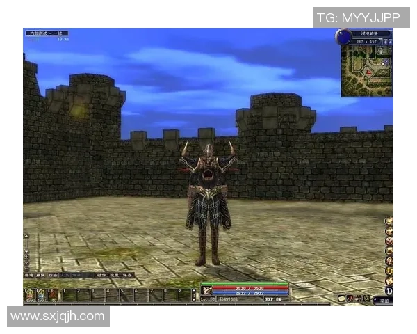 对话王娜探讨王者荣耀职业生涯与游戏背后的故事与挑战