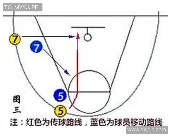 杭州篮球队防守策略解析与战术执行的深度剖析