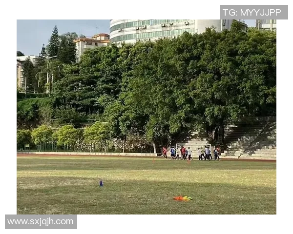 足球腐女的热血与梦想在绿茵场上交织成的青春故事