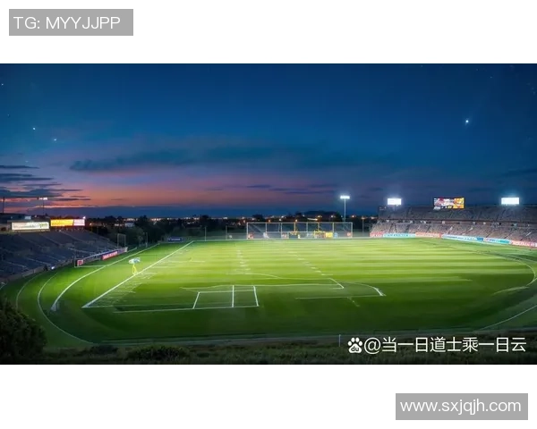 足球永兴：传承激情与梦想的绿茵场传奇之路