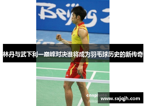林丹与武下利一巅峰对决谁将成为羽毛球历史的新传奇